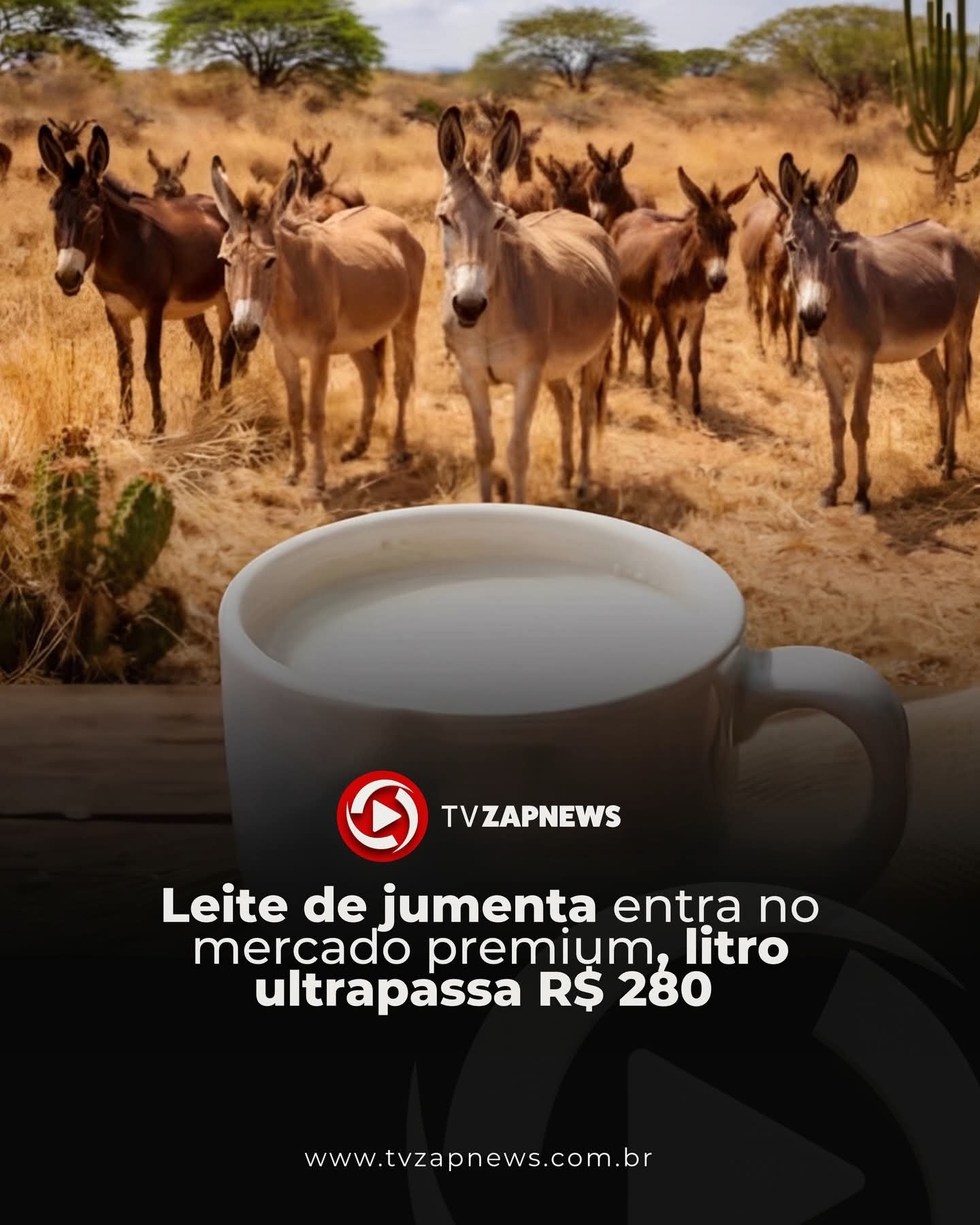 Leite de jumenta entra no mercado premium, litro ultrapassa R$ 280