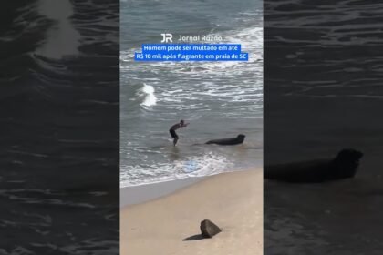 Homem pode ser multado em até R$ 10 mil após flagrante em praia de SC