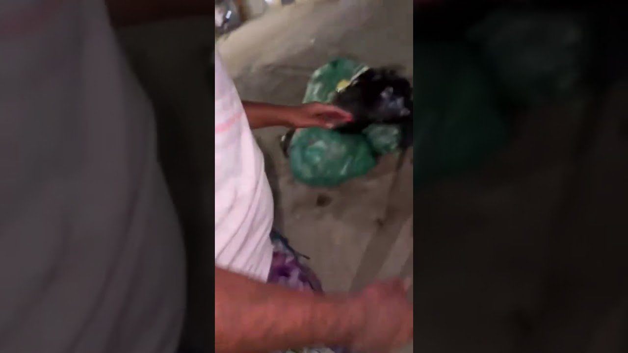 Motoqueiro é agredido após andar de moto com cano de escape barulhento em Jaboatão dos Guararapes!