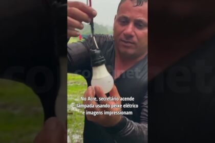 No Acre, secretário acende lâmpada usando peixe elétrico e imagens impressionam!