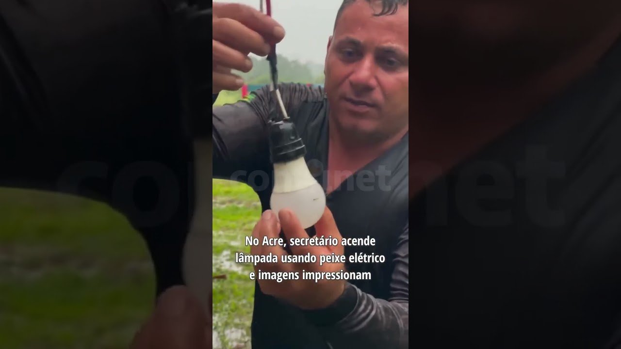 No Acre, secretário acende lâmpada usando peixe elétrico e imagens impressionam!