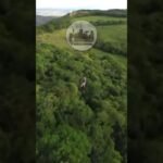 VÍDEO mostra passeio de TIROLESA antes da turista PASSAR MAL e MORRER durante queda de raios em SÃO TOMÉ DAS LETRAS !