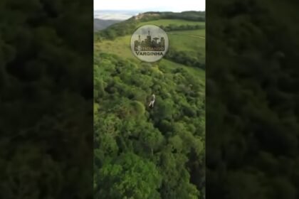 VÍDEO mostra passeio de TIROLESA antes da turista PASSAR MAL e MORRER durante queda de raios em SÃO TOMÉ DAS LETRAS !