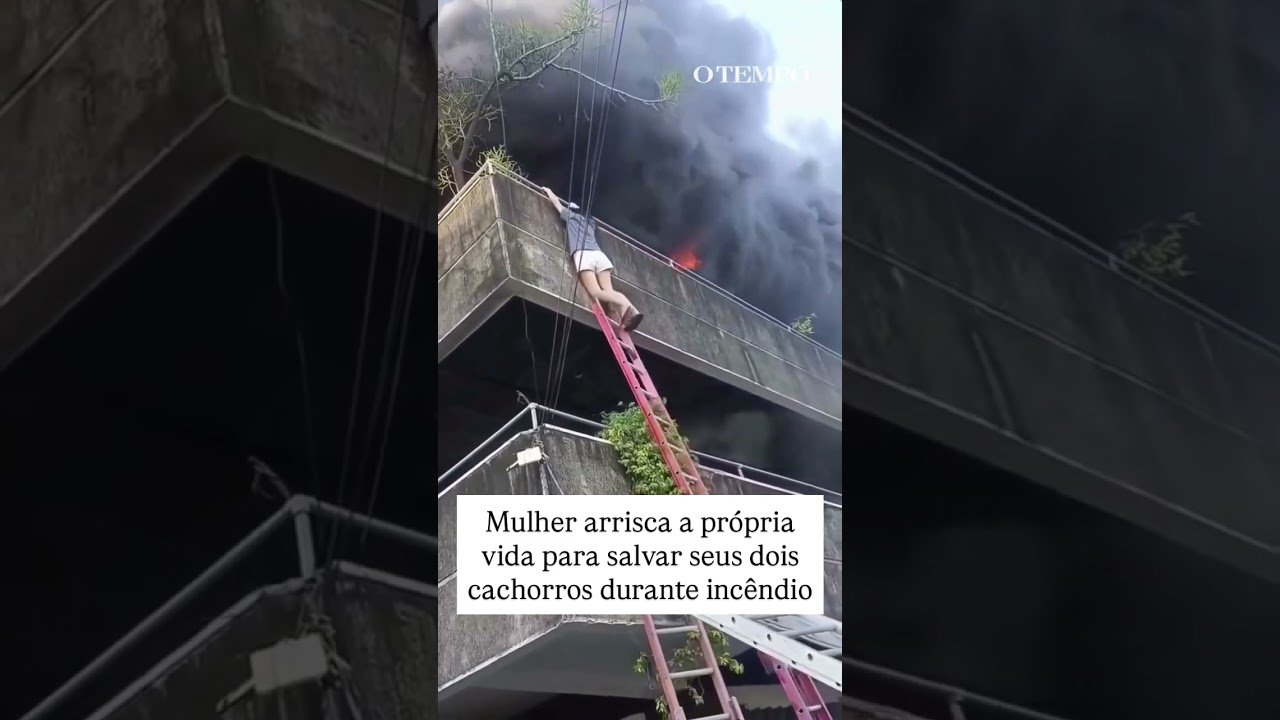 Mulher arrisca a própria vida para salvar seus dois cachorros durante incêndio !