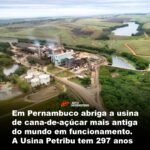 Em Pernambuco abriga a usina de cana-de-açúcar mais antiga do mundo em funcionamento. A Usina Petribu tem 297 anos