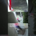 Comerciante morre baleado em assalto a lanchonete de Mogi Mirim !