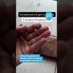 Choveu pedra de gelo no Sertão de Pernambuco!