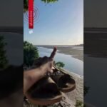 Psicoterapeuta viraliza ao trocar Fortaleza por vila em praia paradisíaca no Ceará com 500 habitantes !