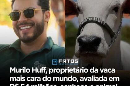 Murilo Huff, proprietário da vaca mais cara do mundo, avaliada em R$ 54 milhões, conhece o animal pessoalmente pela primeira vez