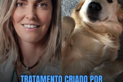 TRATAMENTO CRIADO POR TATIANA SAMPAIO DEVOLVE MOVIMENTOS A CÃES PARALÍTICOS