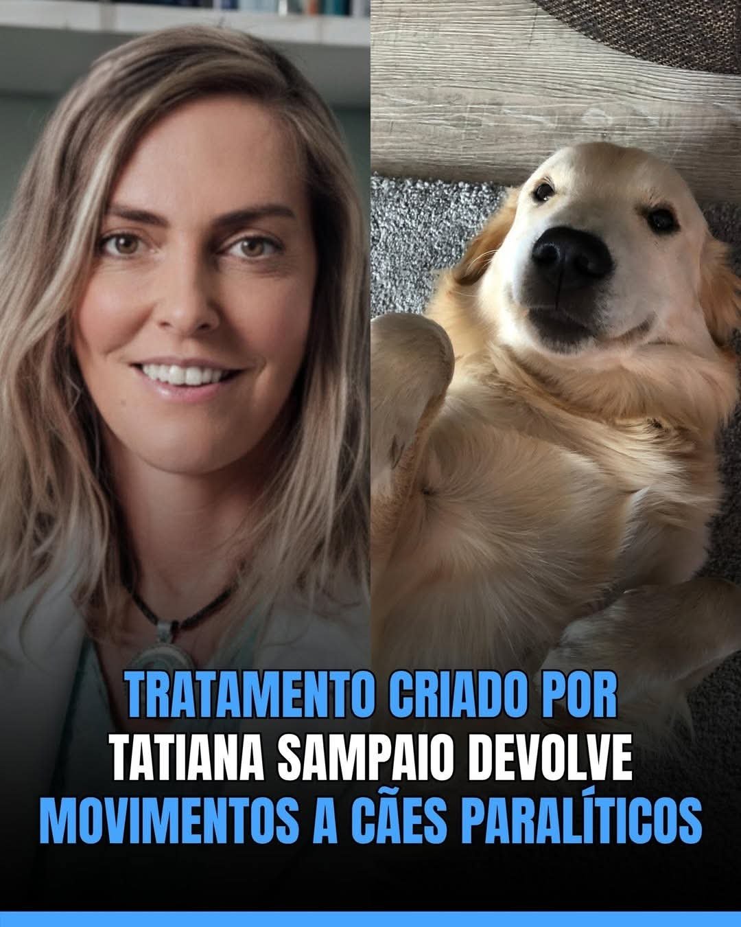 TRATAMENTO CRIADO POR TATIANA SAMPAIO DEVOLVE MOVIMENTOS A CÃES PARALÍTICOS