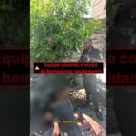 Perseguição policial, termina com traficante baleado no Rio de Janeiro! Parecia cena de filme de ação.