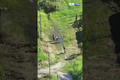Drones da Polícia Civil flagram ponto de venda de drogas no litoral do Paraná !