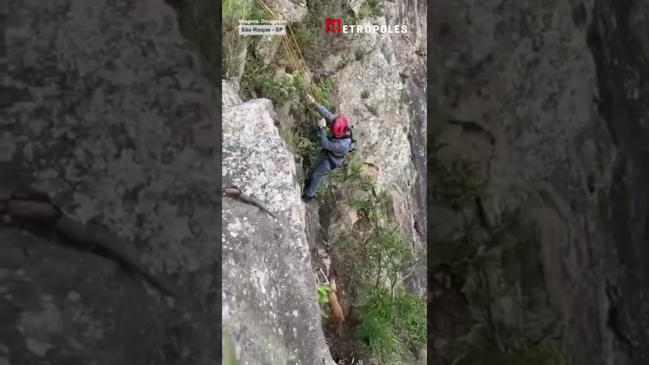 BOMBEIROS DE SP FAZEM RAPEL PARA RESGATAR CÃO PRESO EM PEDREIRA !