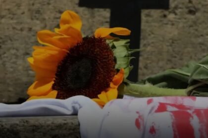 Número de vítimas de feminicídio supera em 38% registros oficiais