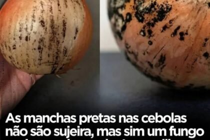 As manchas pretas nas cebolasnão são sujeira, mas sim um fungo perigoso chamado Aspergillus niger