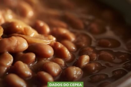 PREÇOS DO FEIJÃO SOBEM E ALTA PASSA DOS 48%