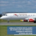 ABELHA IMPEDE DECOLAGEM DE AVIÃO COM 107 PESSOAS A BORDO E PROVOCA ATRASO DE 4H30