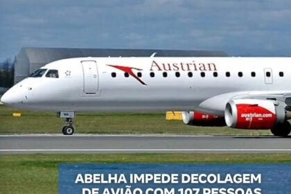 ABELHA IMPEDE DECOLAGEM DE AVIÃO COM 107 PESSOAS A BORDO E PROVOCA ATRASO DE 4H30