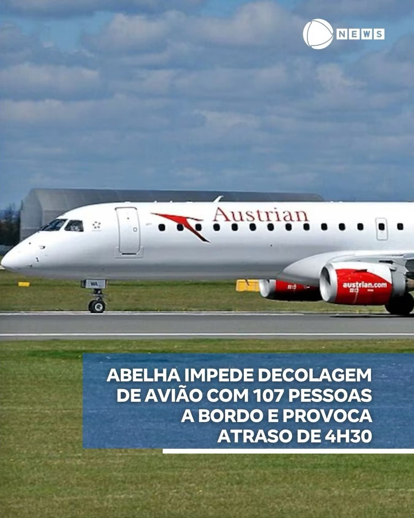 ABELHA IMPEDE DECOLAGEM DE AVIÃO COM 107 PESSOAS A BORDO E PROVOCA ATRASO DE 4H30