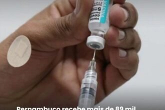 Pernambuco recebe mais de 89 mil doses da vacina contra covid-19. Saiba quem pode se vacinar