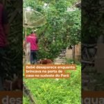 Bebê desaparece enquanto brincava na porta de casa no sudeste do Pará
