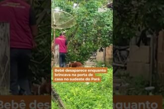 Bebê desaparece enquanto brincava na porta de casa no sudeste do Pará