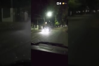 Jovens roubam ônibus escolar e dirigem pela cidade durante a madrugada, no Paraná