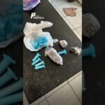 MÃE CONHECIDA POR CASO RARO DE GÊMEOS DE PAIS DIFERENTES É MORTA PELO COMPANHEIRO EM GOIÁS