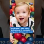 Menino de 3 anos morre após picada de escorpião enquanto brincava em casa