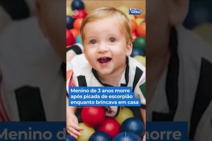 Menino de 3 anos morre após picada de escorpião enquanto brincava em casa