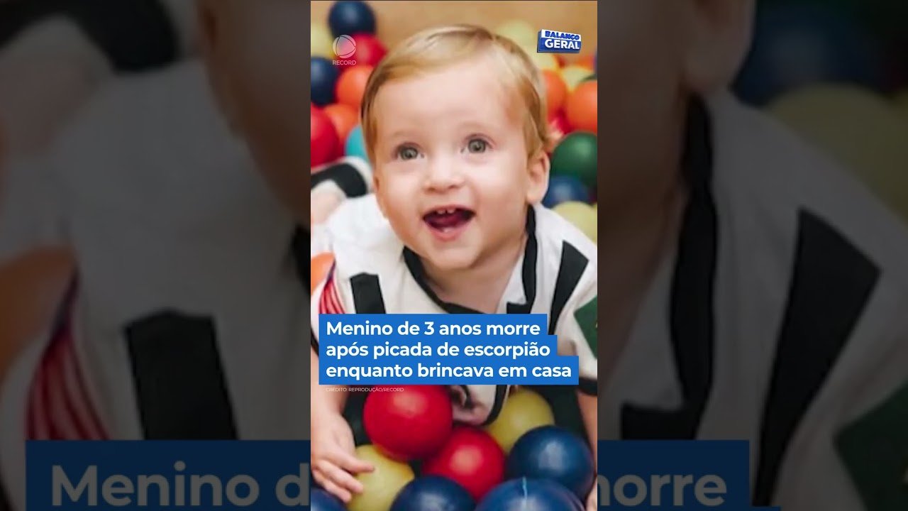 Menino de 3 anos morre após picada de escorpião enquanto brincava em casa