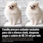 Família procura cuidador exclusivo para cão e oferece chalé, despesas pagas e salário de R$ 34 mil por mês