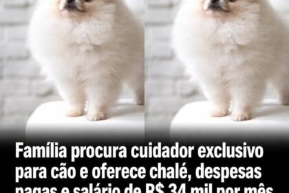 Família procura cuidador exclusivo para cão e oferece chalé, despesas pagas e salário de R$ 34 mil por mês