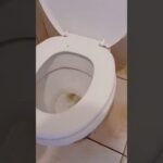 Sempre olhe o vaso sanitário antes de sentar! 😱