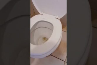 Sempre olhe o vaso sanitário antes de sentar! 😱