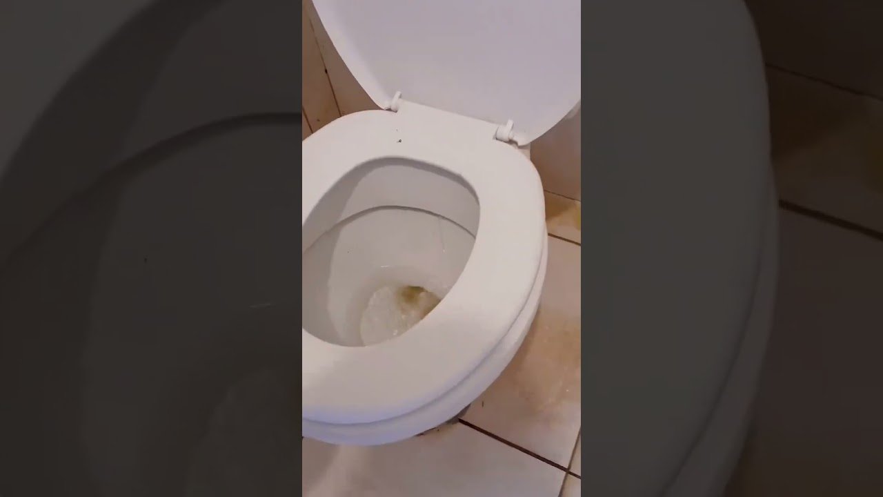 Sempre olhe o vaso sanitário antes de sentar! 😱