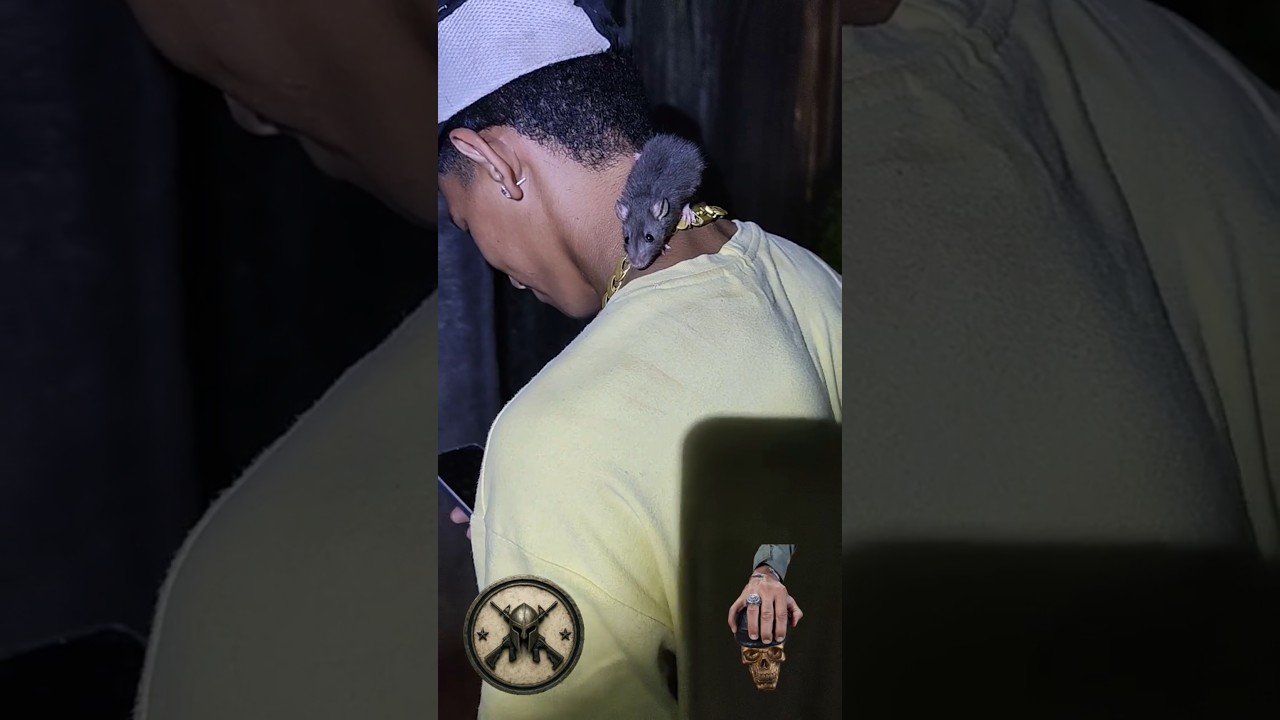 Jovem viralizou ao ser abordado pela polícia com rato pendurado no pescoço no bairro de Cavaleiro em Jaboatão dos Guararapes!