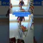 Homem entra em loja e ataca funcionária em suposta tentativa de estupro em Joinville