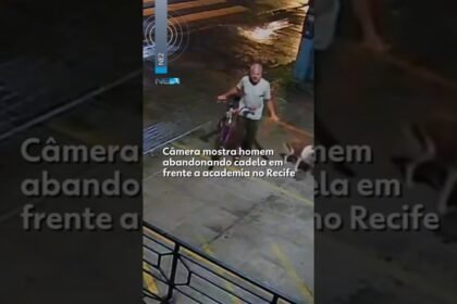 Câmera mostra homem abandonando cadela em frente a academia no Recife
