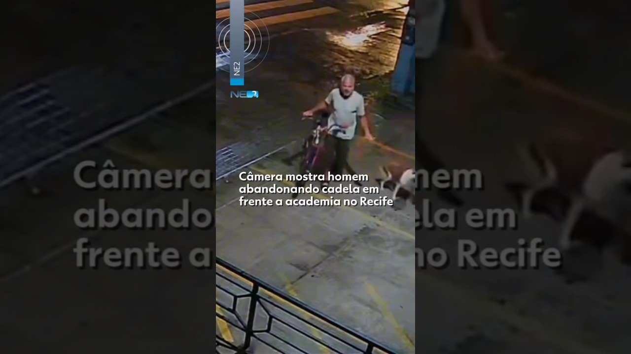 Câmera mostra homem abandonando cadela em frente a academia no Recife
