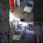 Boi invade oficina mecânica após tombamento de carreta com gado em MG