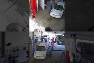 Boi invade oficina mecânica após tombamento de carreta com gado em MG