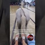 Veja o sufoco de mãe e filha para chegar na consulta médica nos dias de chuva no Recife !