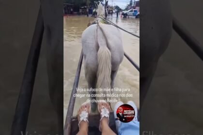 Veja o sufoco de mãe e filha para chegar na consulta médica nos dias de chuva no Recife !