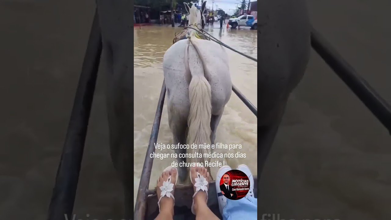 Veja o sufoco de mãe e filha para chegar na consulta médica nos dias de chuva no Recife ! Veja o sufoco de mãe e filha para chegar na consulta médica nos dias de chuva no Recife !