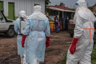 Suspeita de ebola é descartada em paciente internado em São Paulo