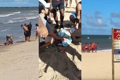 Uma criança de 11 anos foi mordida por um tubarão neste domingo (31), em Jaboatão dos Guararapes