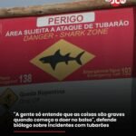 A gente só entende que as coisas são graves quando começa a doer no bolso”, defende biólogo sobre incidentes com tubarões A gente só entende que as coisas são graves quando começa a doer no bolso”, defende biólogo sobre incidentes com tubarões