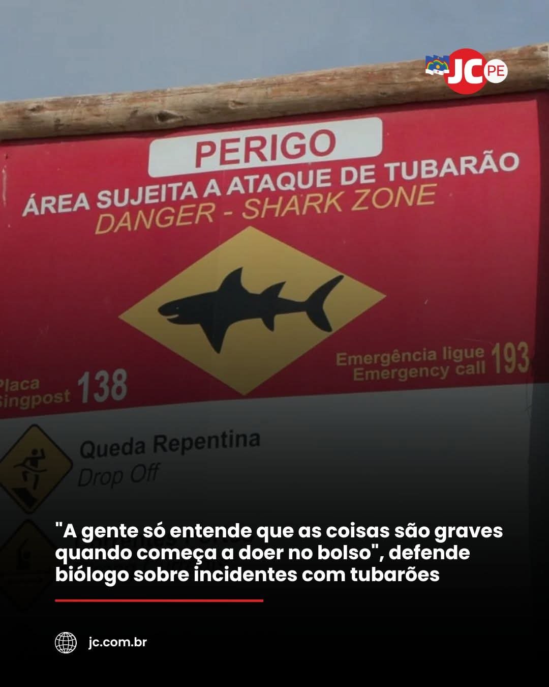A gente só entende que as coisas são graves quando começa a doer no bolso”, defende biólogo sobre incidentes com tubarões